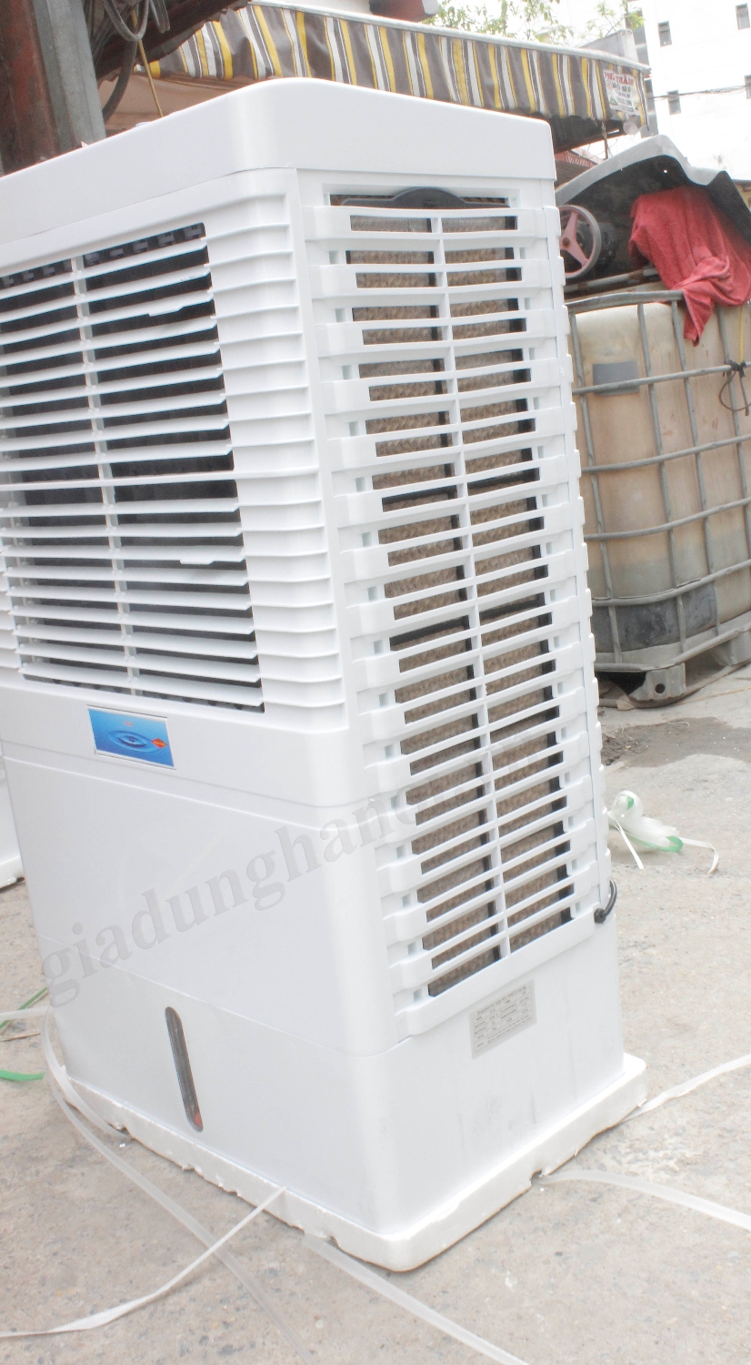 quạt GY55 gia dụng hà nội 3